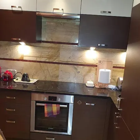 Apartment Przytulny Nr 115